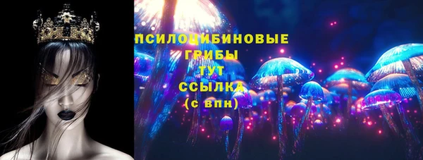 дживик Баксан