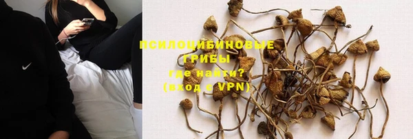 дживик Баксан