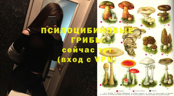 дживик Баксан