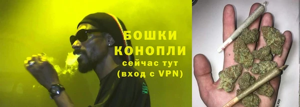 дживик Баксан