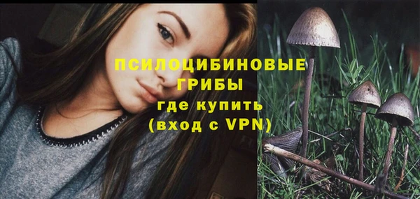 прущие грибы Кулебаки