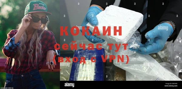 дживик Баксан